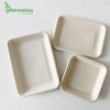high quality biodegradable food trays